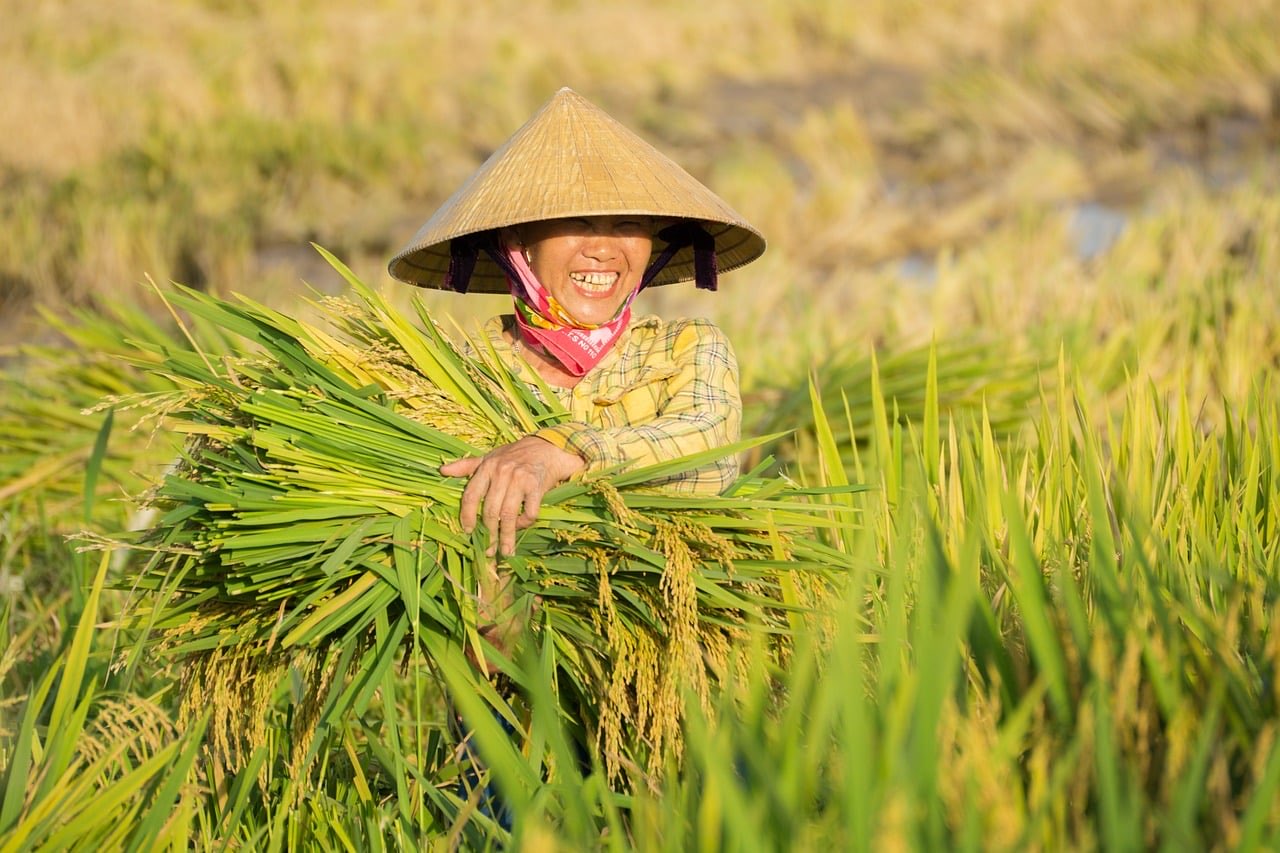 Agribusiness operations
