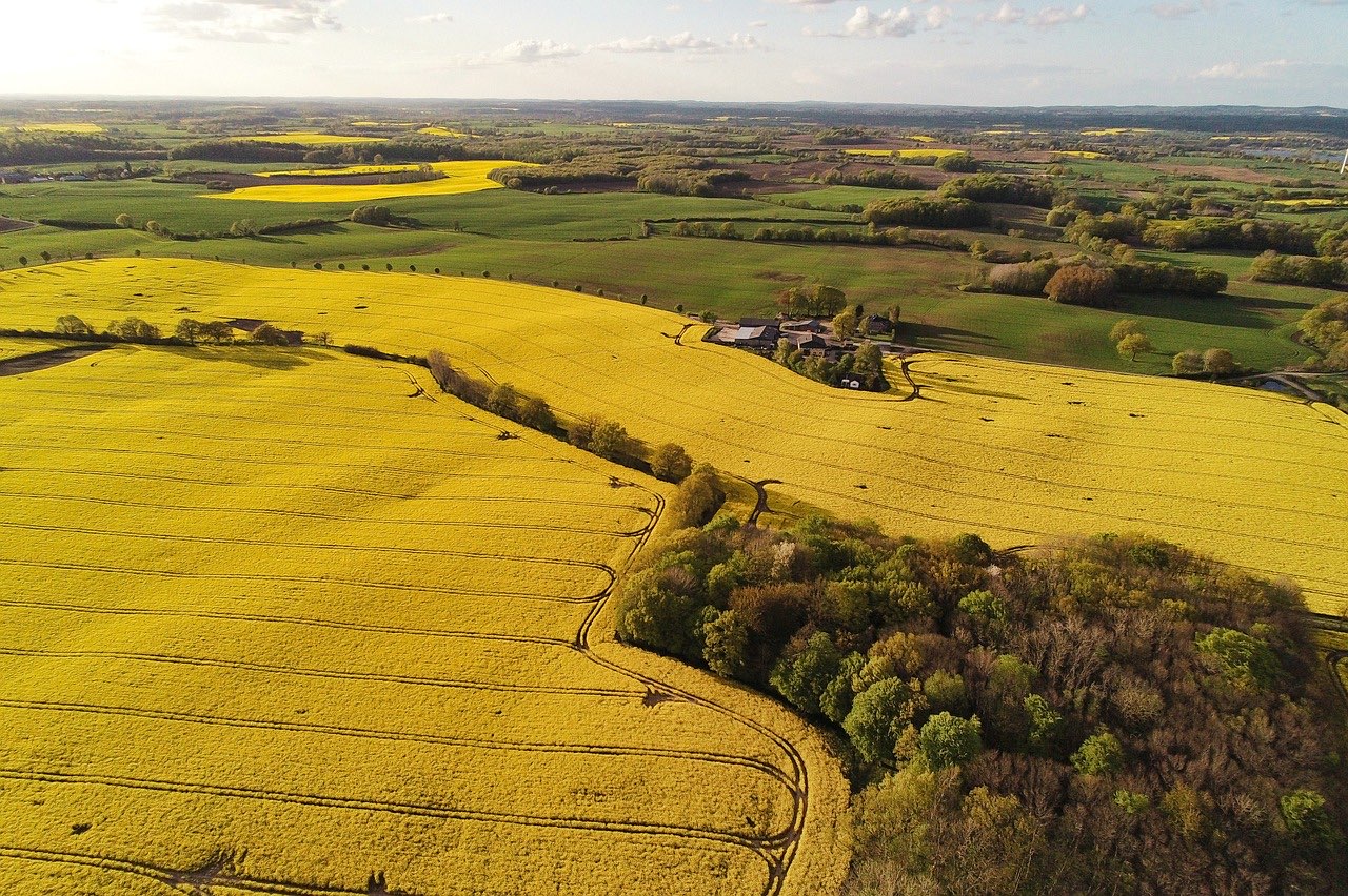 Hudace AI for agribusiness