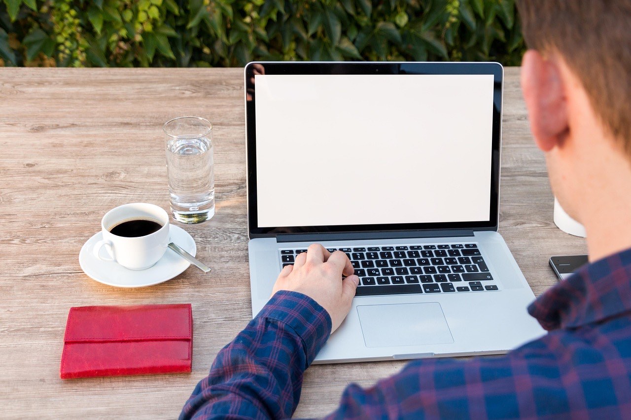 Search and SEO